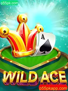 Explorando o Mundo Empolgante de WildAce
